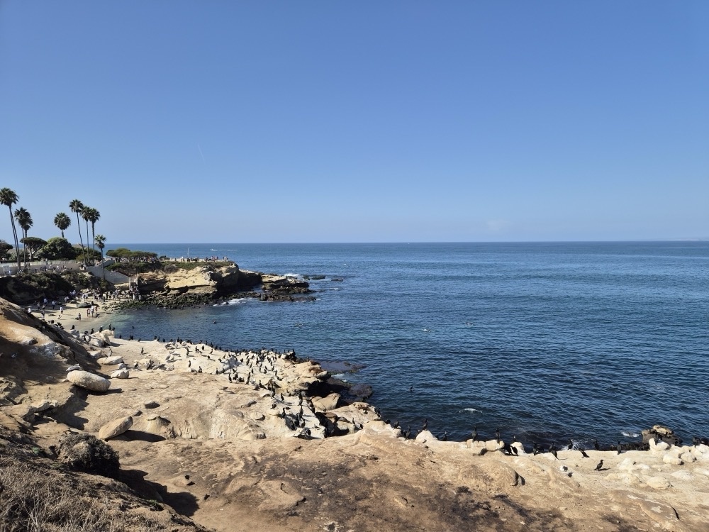 La Jolla Cove La Jolla Cove