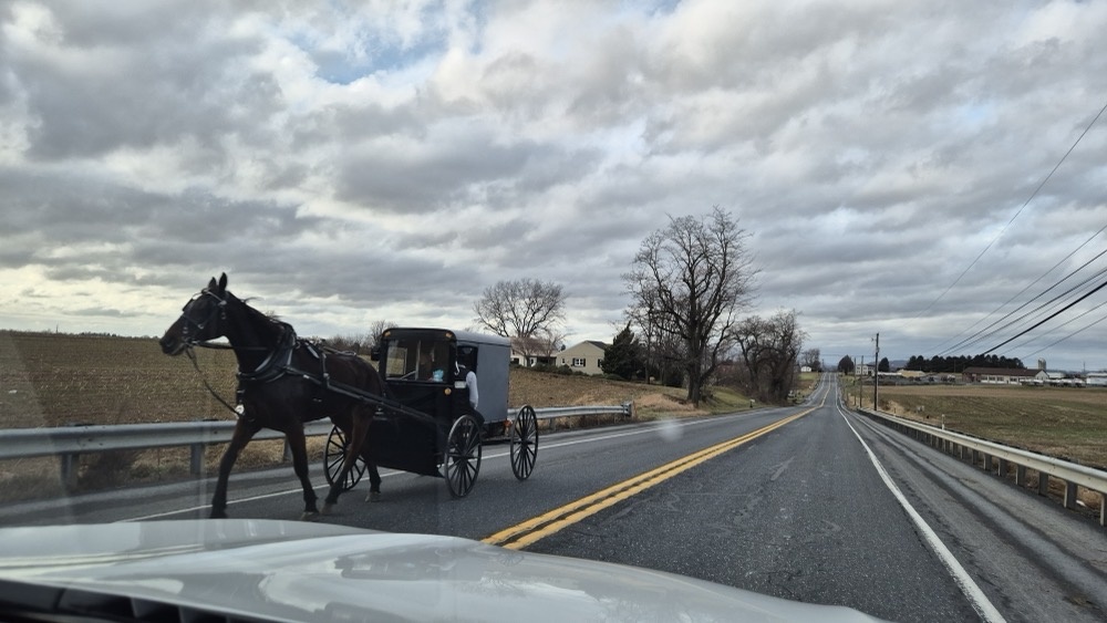 Buggy while driving Buggy while driving