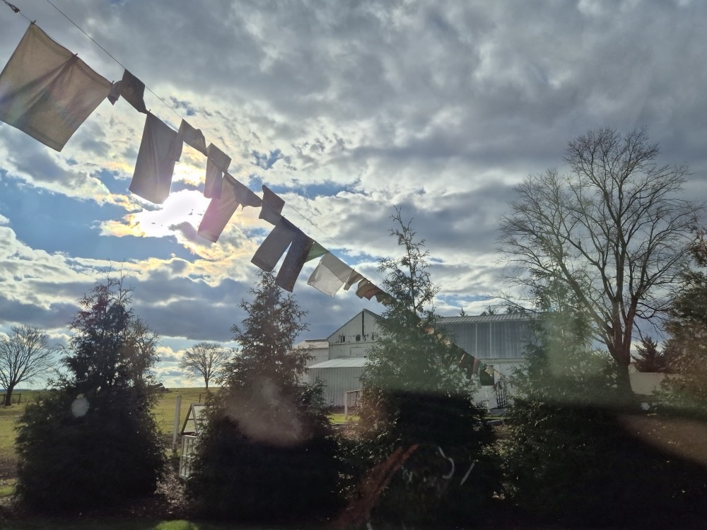 Clothesline Clothesline