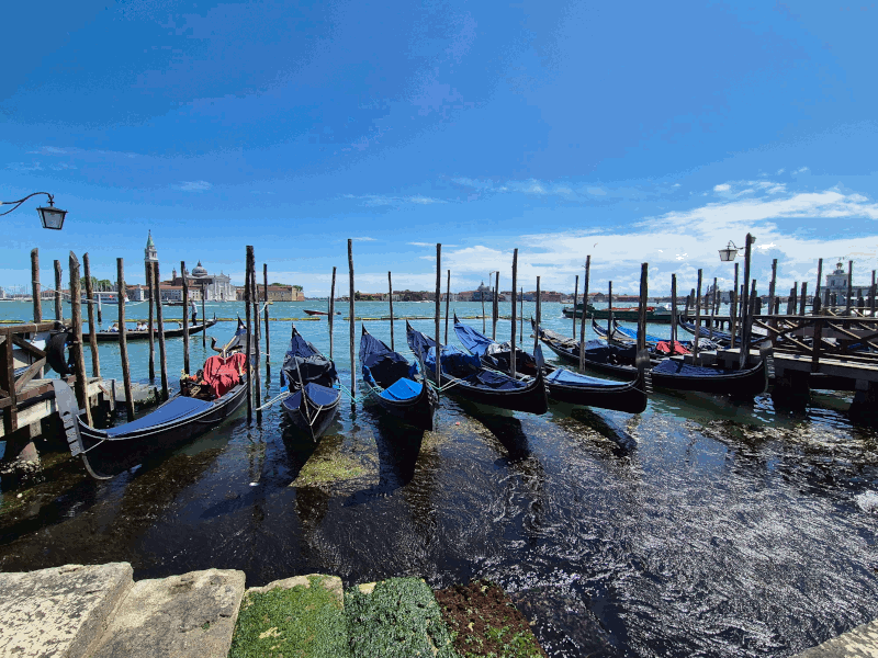 Gondolas.gif Gondolas.gif