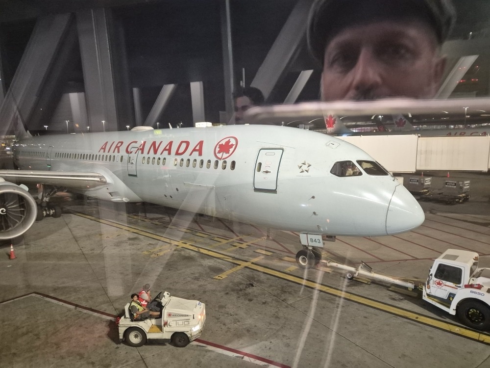Homeward bound Homeward bound