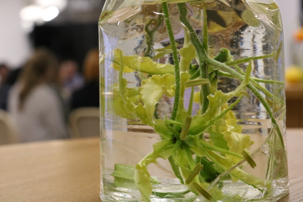 Drowned flowers Drowned flowers